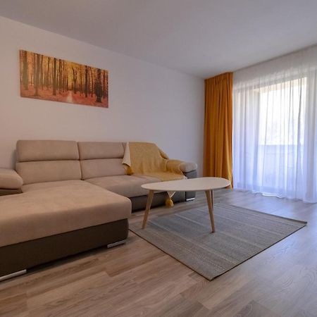 Transylvanian Apt. W/ Lrg. Terrace And Parking - Karpatenhaus Braşov Esterno foto